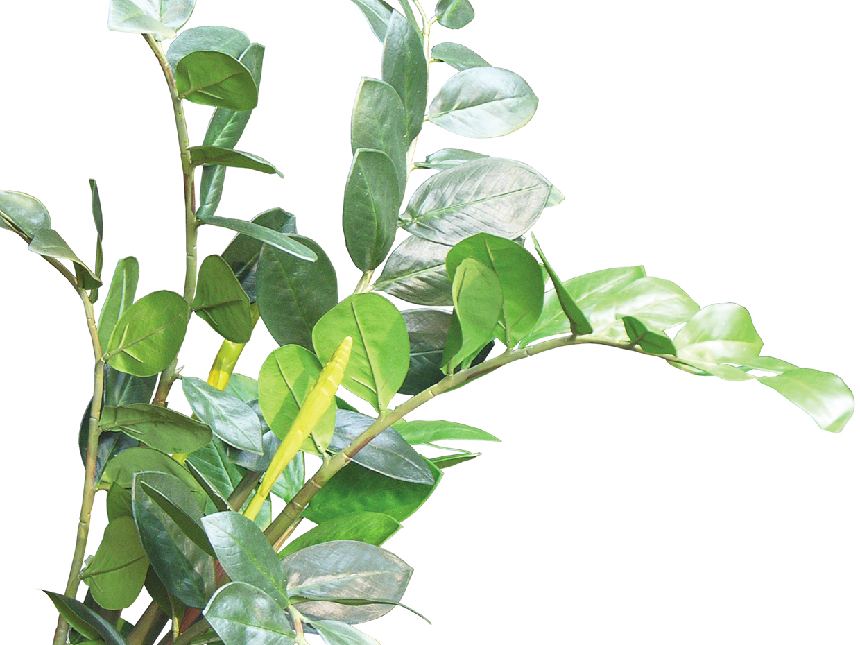 Artificial ZZ Plant - Fake Plants - Faux ZZ Plant | Commercial Silk