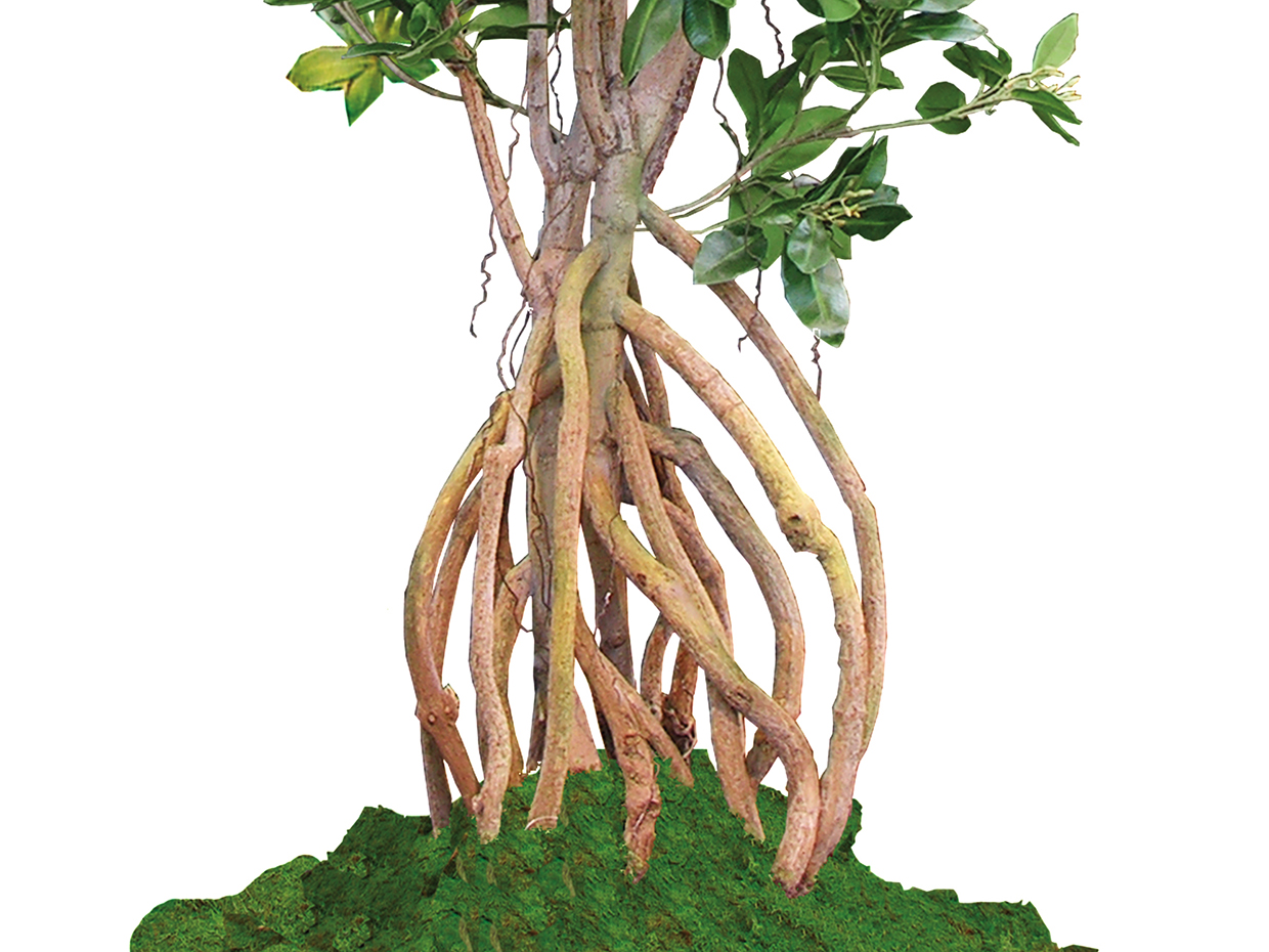 Artificial Mangrove Tree - Potted Faux Tree Decor | Commercial Silk