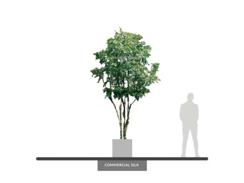 Artificial Ironwood Tree - Faux Floor Trees | Commercial Silk