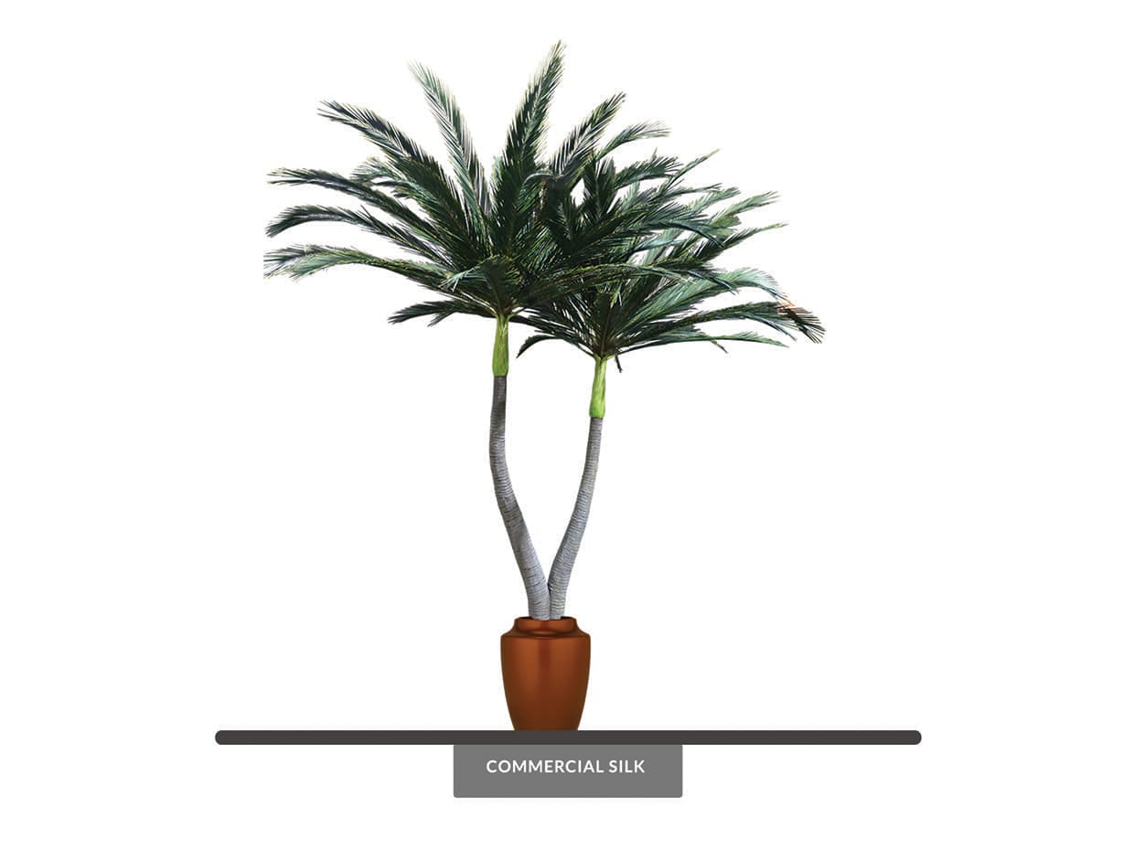 Foxtail Palm Tree Preserved - Fake Indoor Trees | Commercial Silk