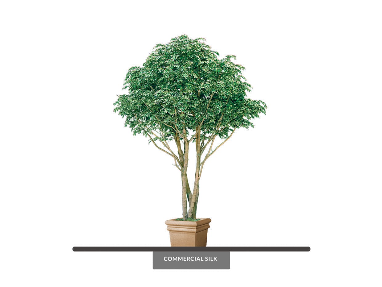 Artificial Hawaiian Ficus Tree - Indoor Faux Tree | Commercial Silk