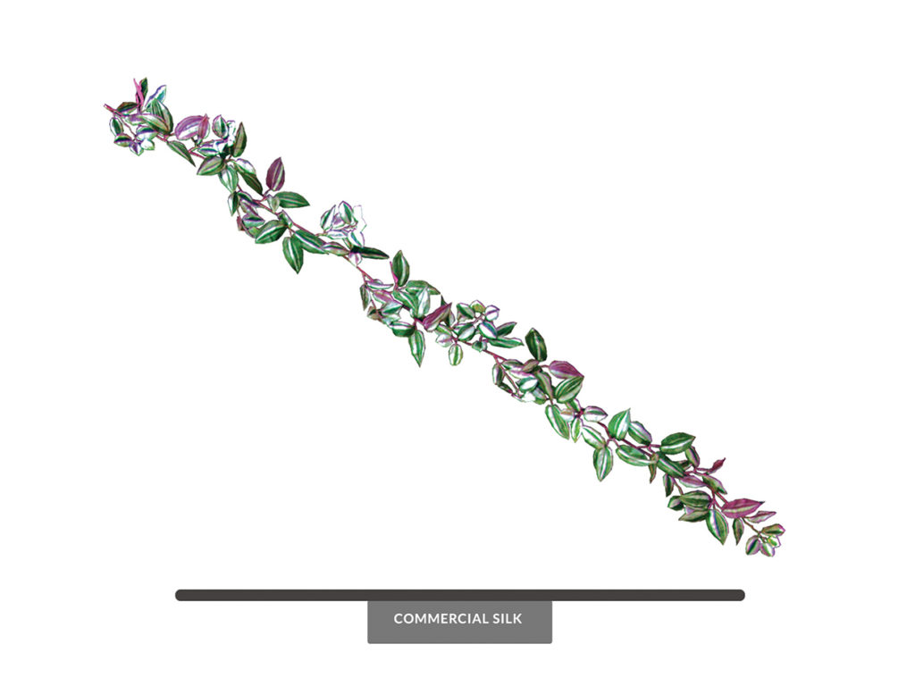 Artificial Wandering Jew Garland