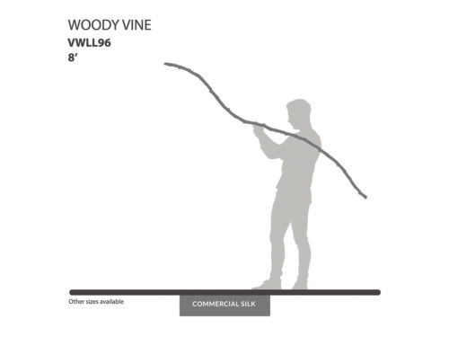 Woodland Vine ID# VWLL96