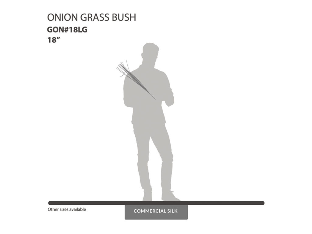 Onion Grass Bush ID# GON#18LG