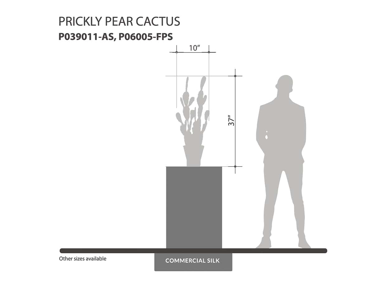 Prickly Pear Cactus Plant ID# P039011-AS, P06005-FPS