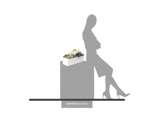 Succulent Planters ID# SUCL1