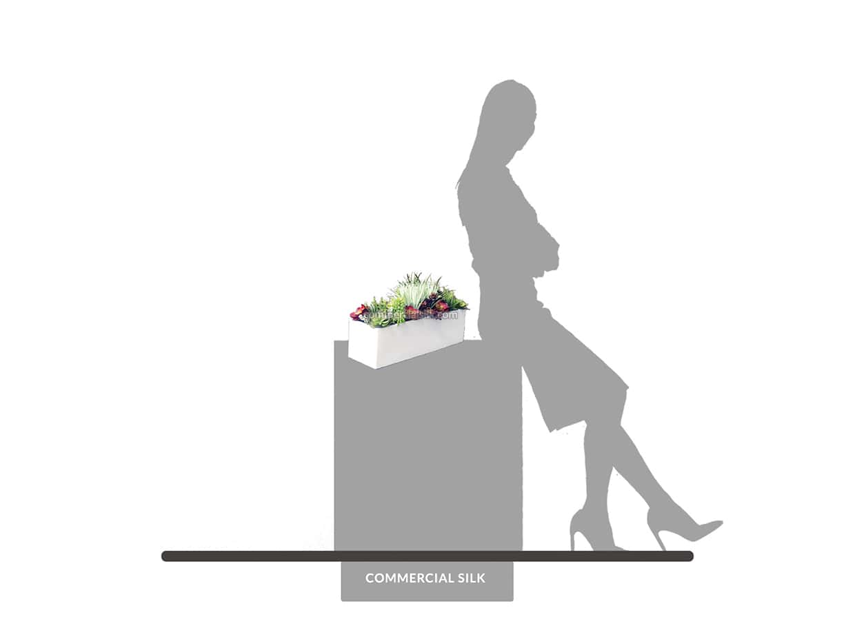 Succulent Planters ID# SUCL1