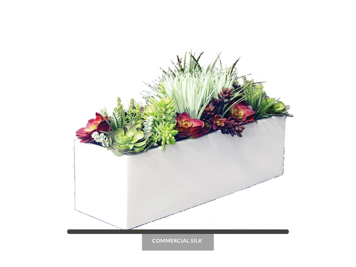 Succulent Planters