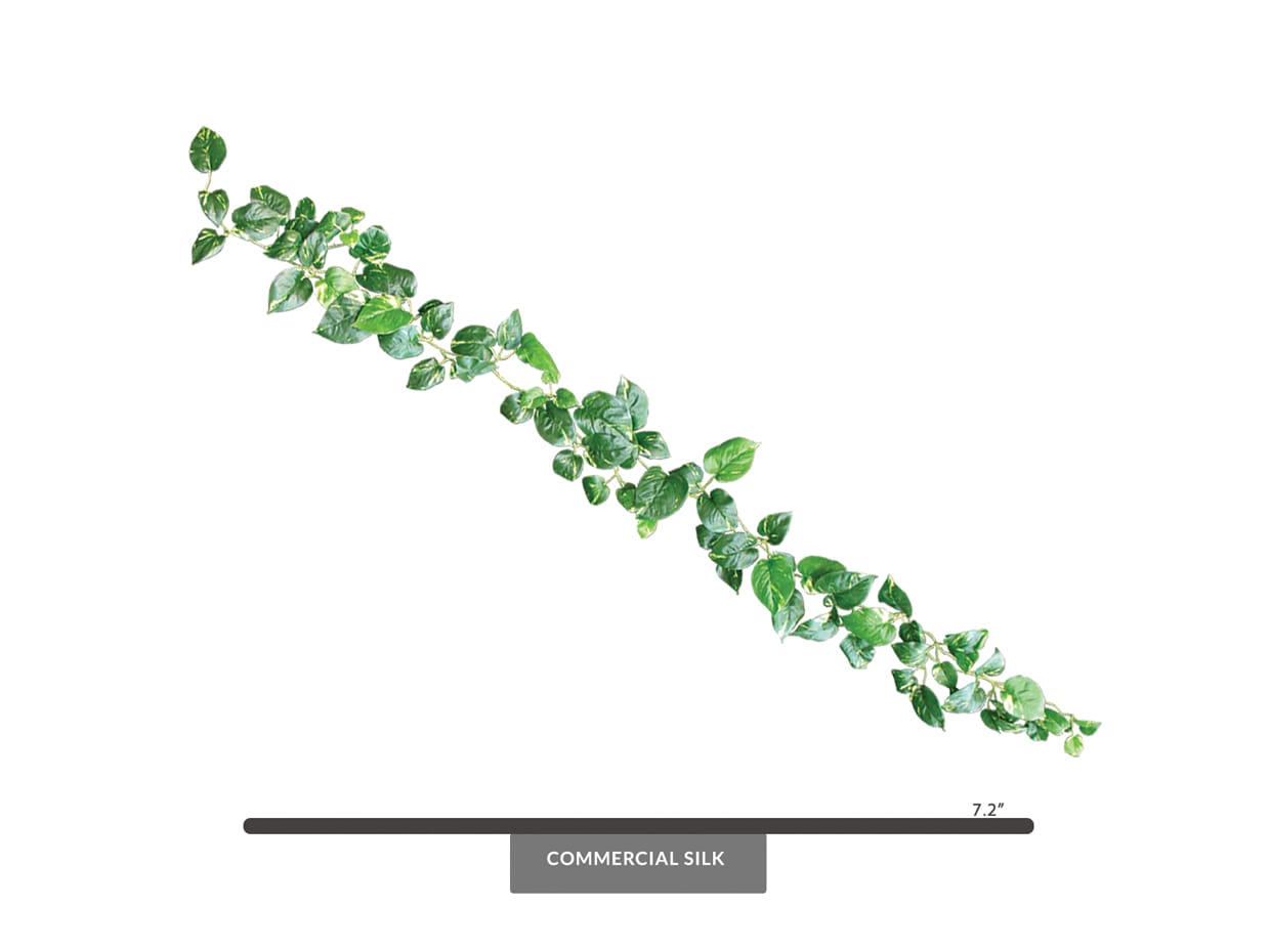 Pothos Vine Garland