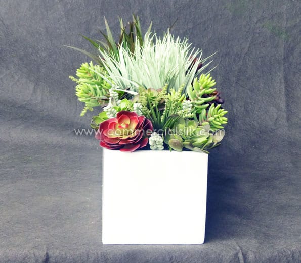 Succulent Planters ID# SUCL1