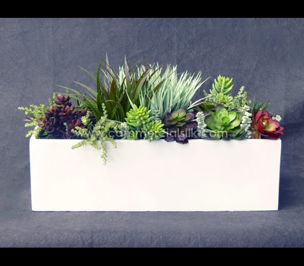 Succulent Planters ID# SUCL1