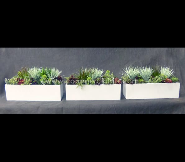 Succulent Planters ID# SUCL1
