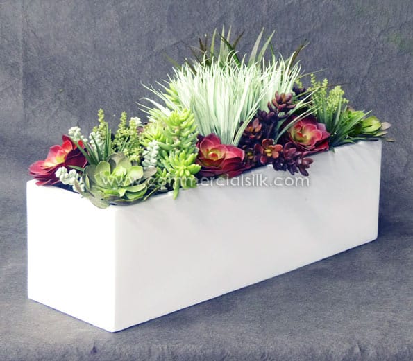 Succulent Planters ID# SUCL1