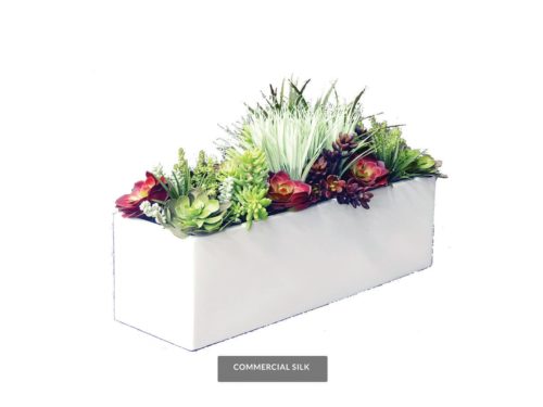 Succulent Planters ID# SUCL1