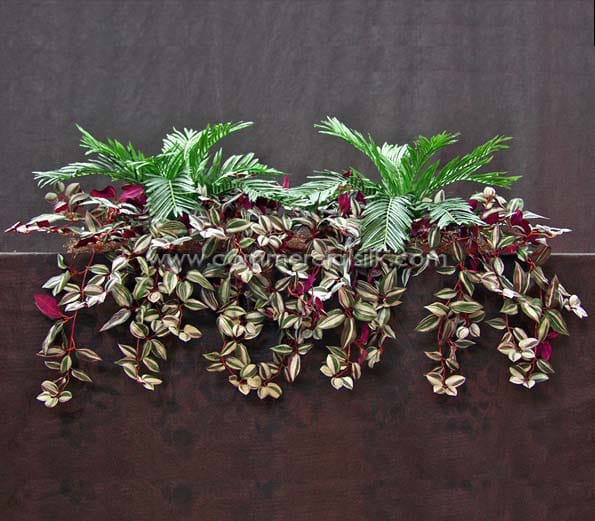 Wandering Jew Hanging, Hanging ID#