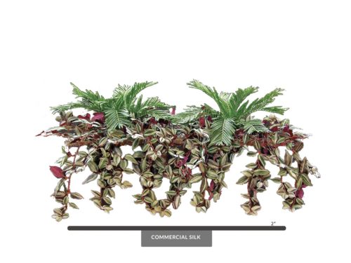 Wandering Jew Hanging, Hanging ID#