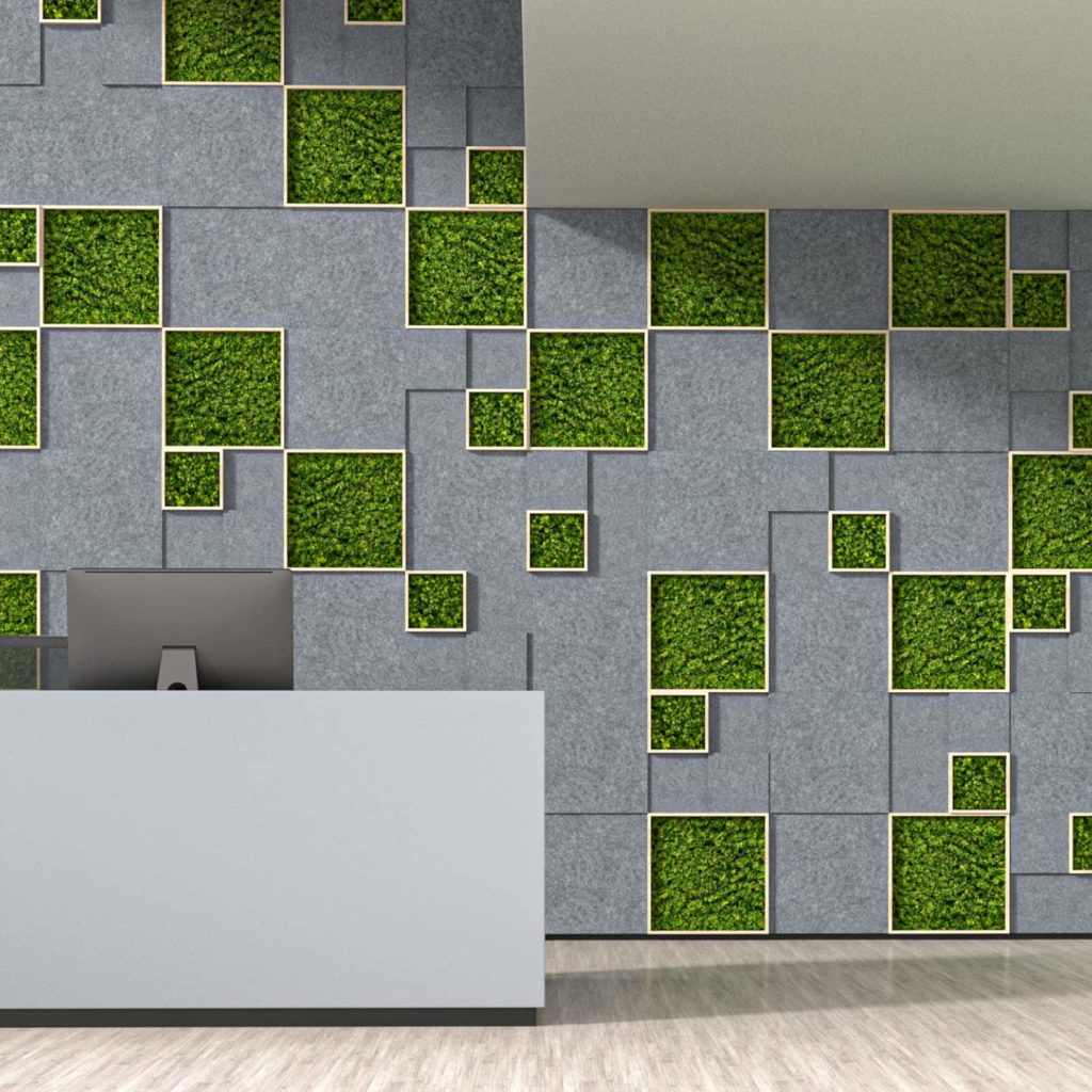 Petatillo Moss Wall