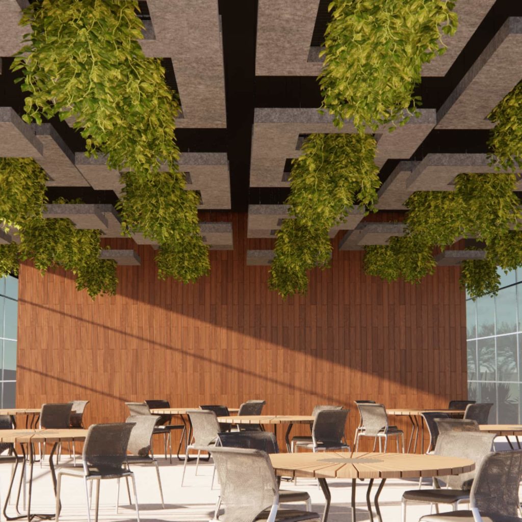 Hanging Vine Planters