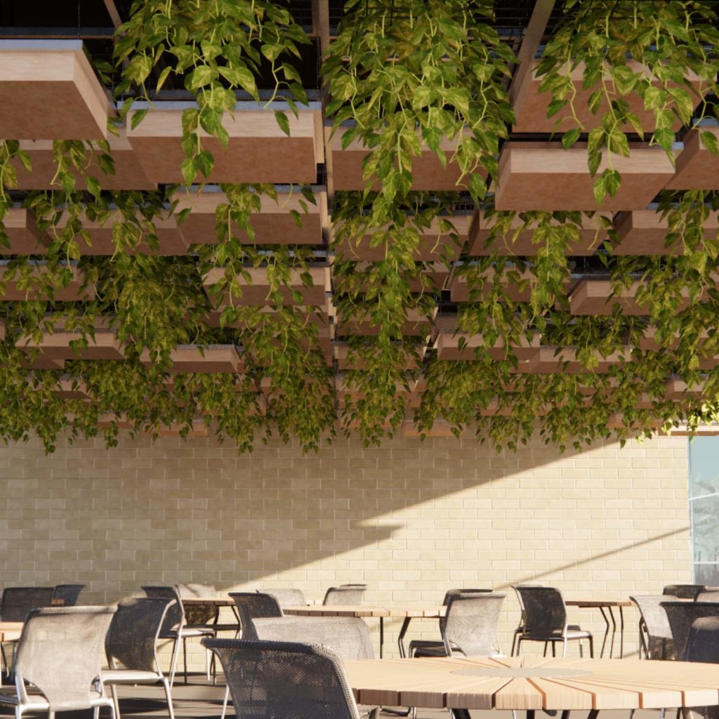 Suspended Lattice Ceiling Grid with Climbing Plants