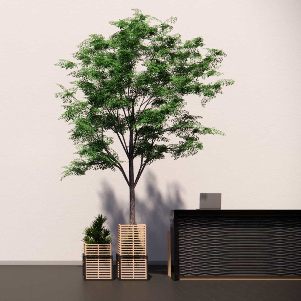 Indoor Flowering Trees With Planter