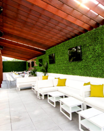 boxwood green wall