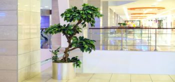 10 Artificial Plants For Your Commercial Space To Make A Strong Statement