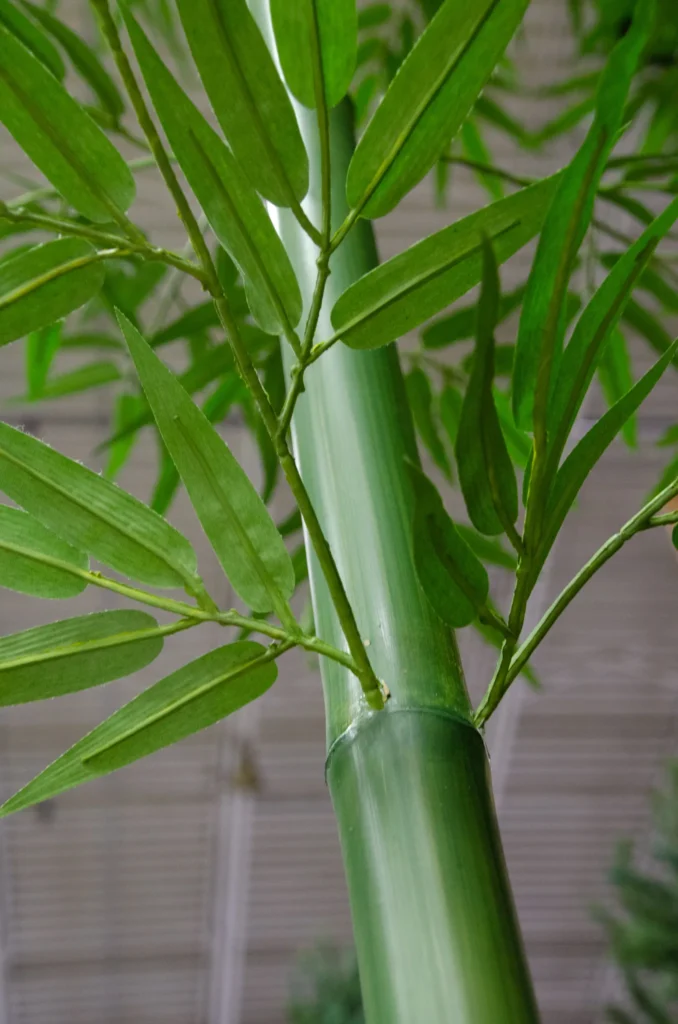 Artificial green bamboo with smooth segmented stalk and clusters of slender lance-shaped leaves.