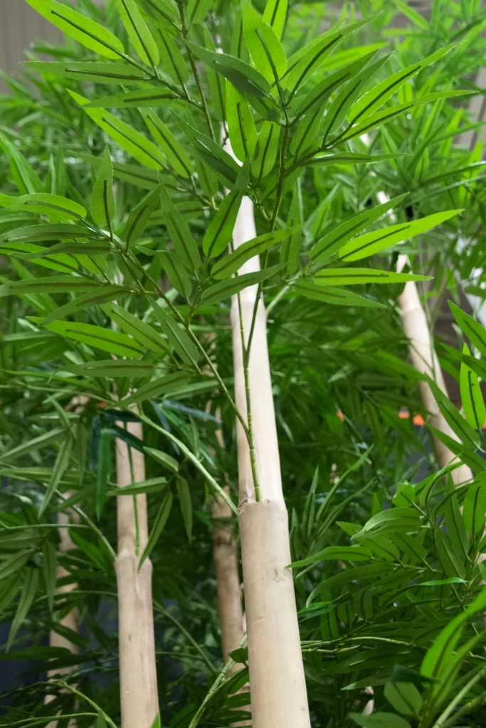 Artificial bamboo cluster with tall smooth tan stalks and dense green lance-shaped leaves.
