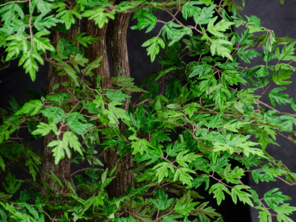 Artificial Ming Aralia tree with dark upright trunk and dense clusters of finely divided green leaves.