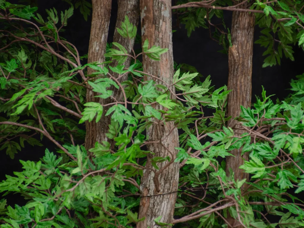 Artificial Ming Aralia tree with upright textured trunks and clusters of finely divided green leaves.