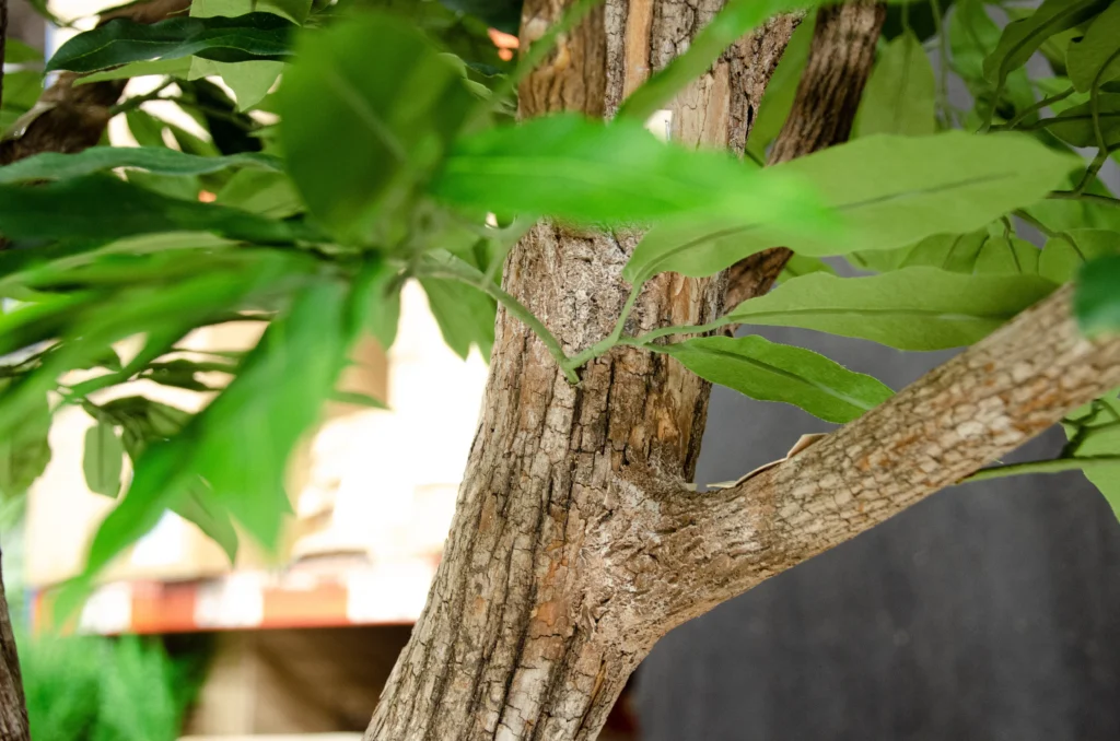 Artificial ficus tree with rough-textured trunk and elongated green leaves.