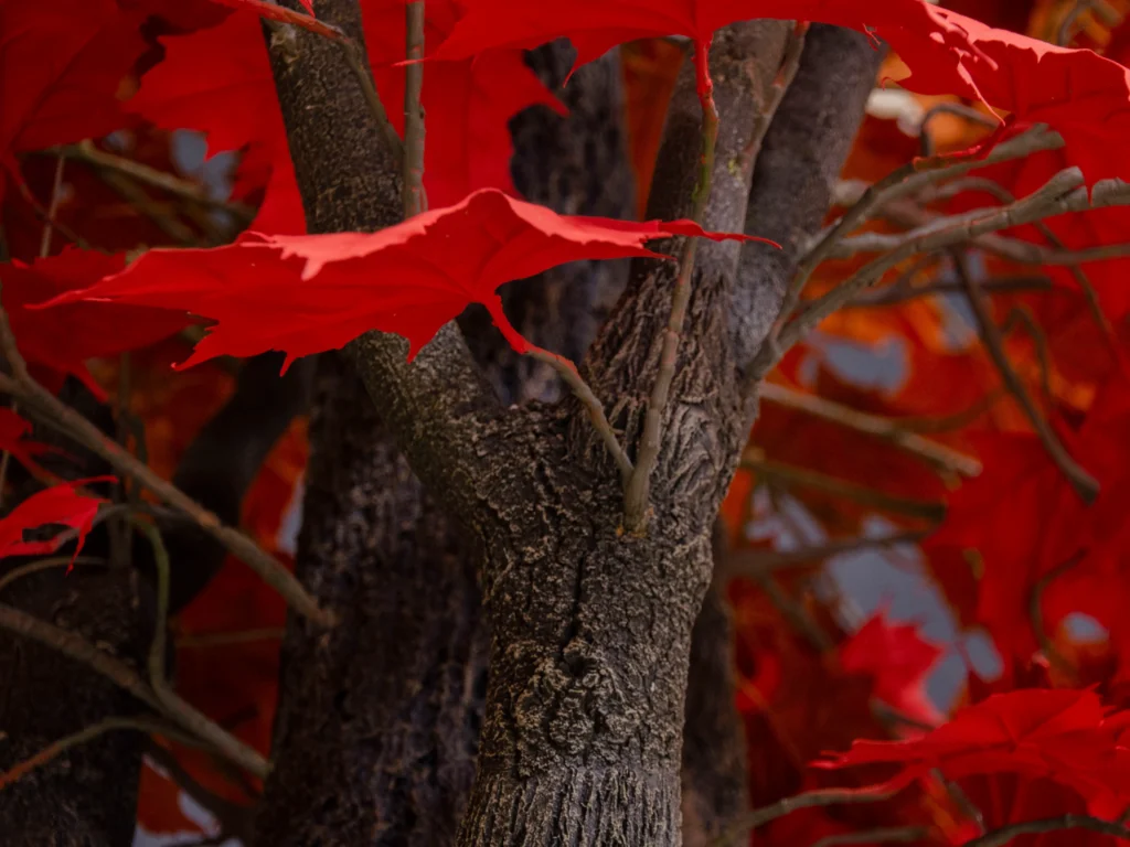 Artificial maple tree with textured bark and vibrant red five-lobed autumn leaves.