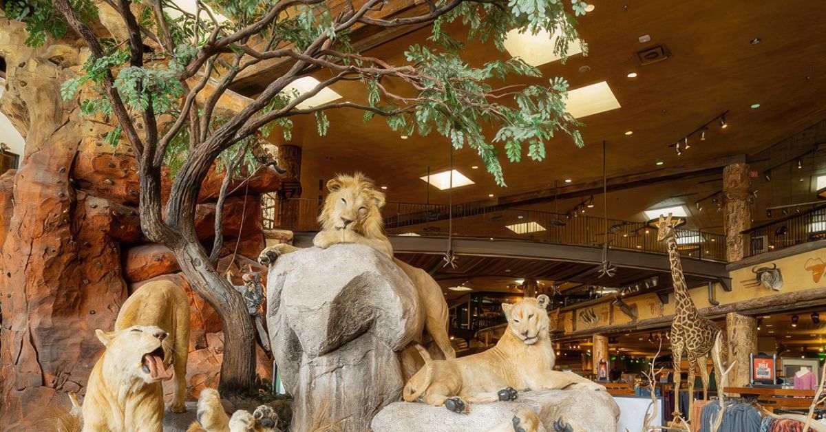 Immersive Biophilic Design for Retail at Bass Pro Shops
