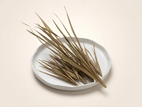 Dried Snake Grass