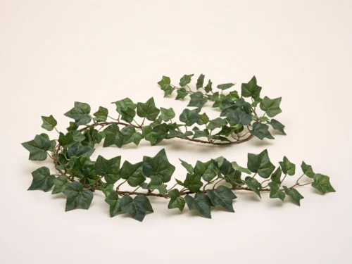 English Ivy Garland ID# IEG#72