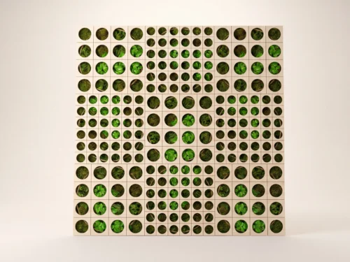 BIO-QCO-001