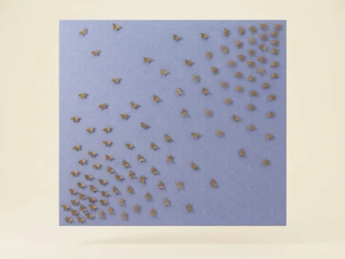 BIO-BTY-001