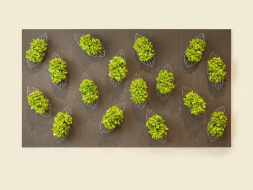 BIO-SCL-002