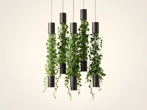 BIO-PSC-001 | Climbing Plant