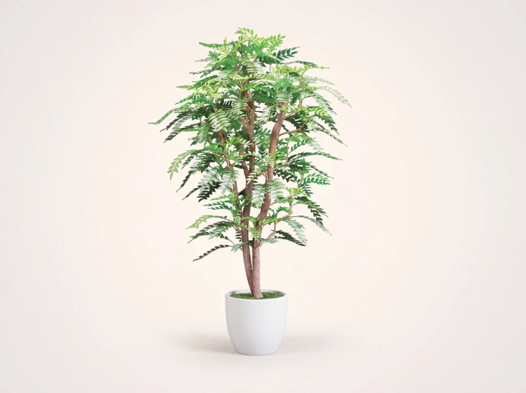 Artificial Acacia Plant Outdoor