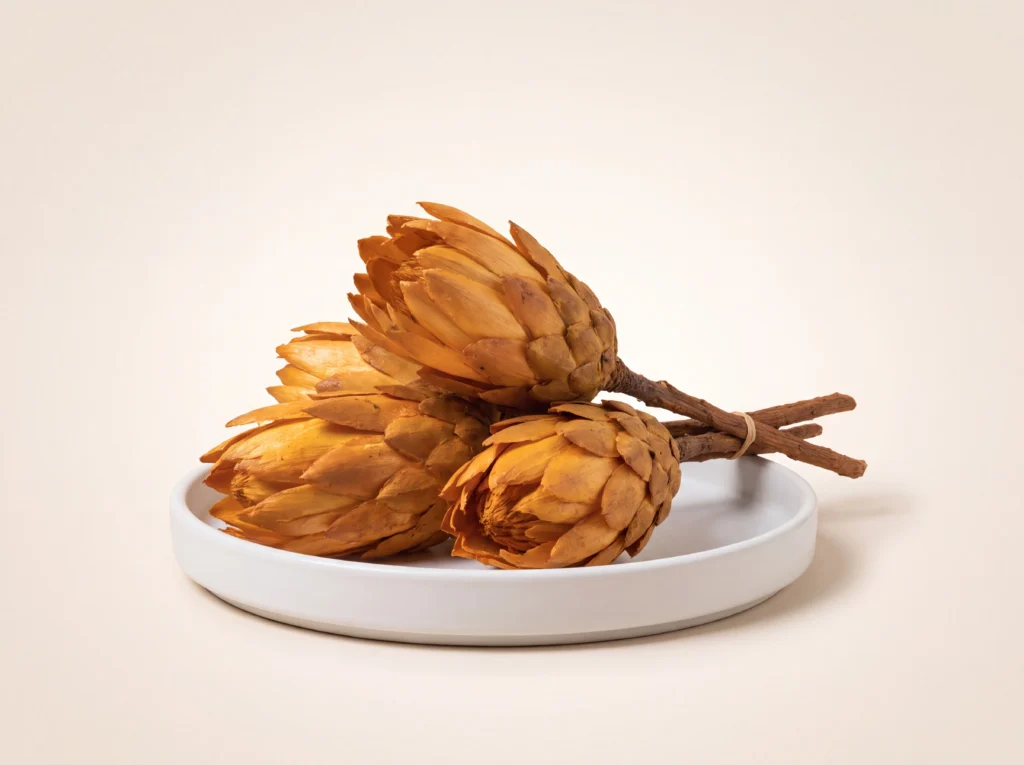 Dried Repens Gold