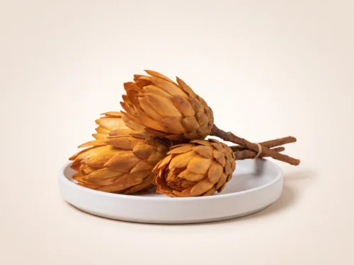 Dried Repens Gold
