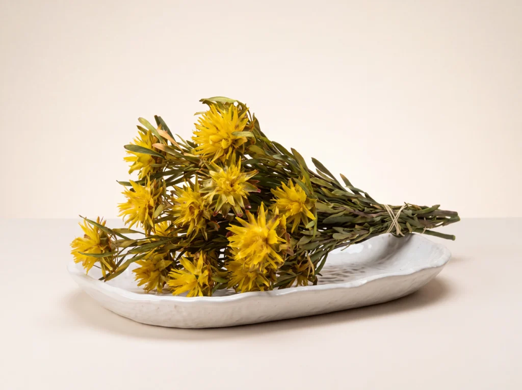 Dried Yellow Plumosum