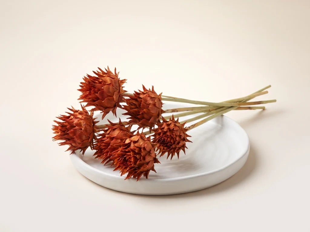 Dried Artichoke