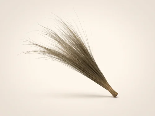 Dried Bright Grass