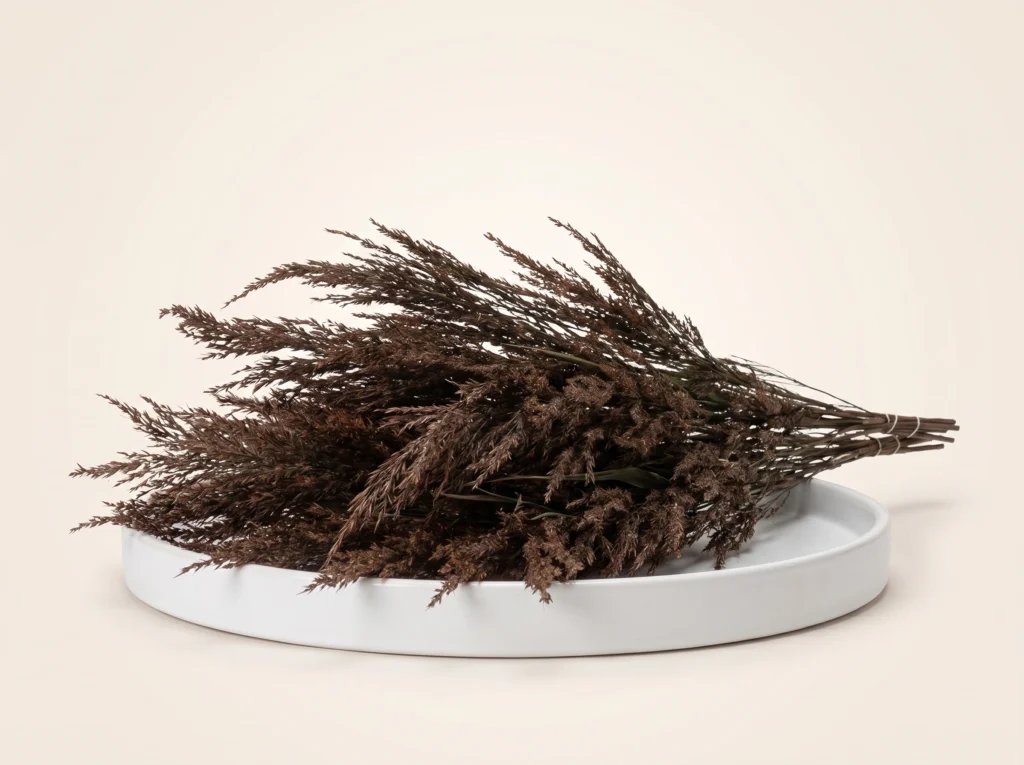 Dried Reed Grass