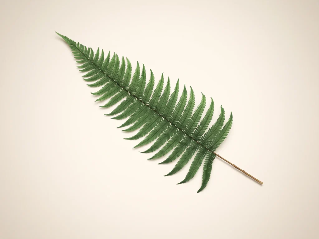 Preserved Parchment Fern