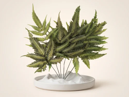 Preserved Basil Ombre Fern