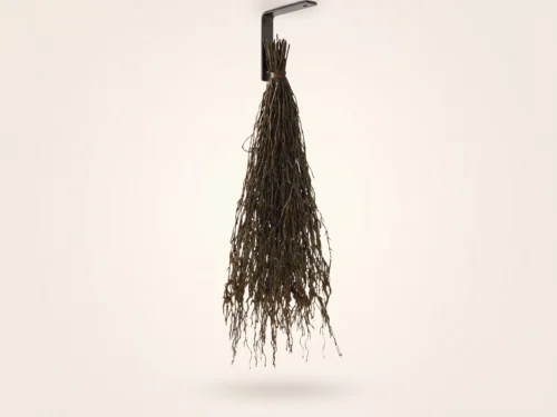 Aerial Roots Hanging Plant