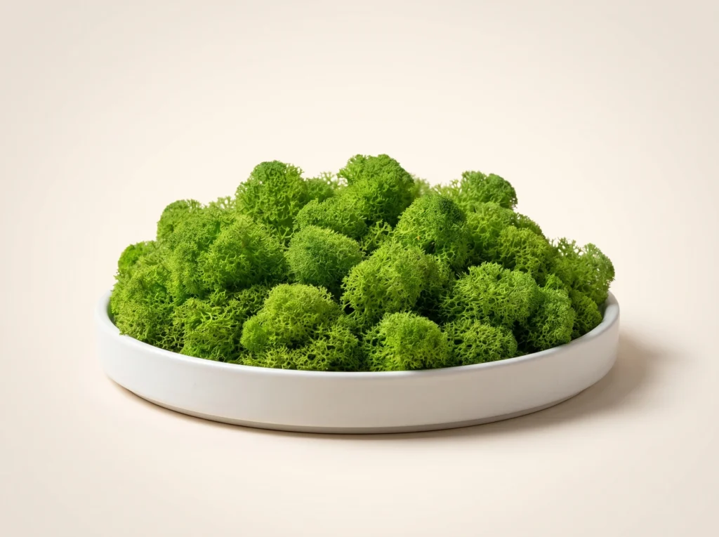 Bright Green Preserved Reindeer Moss